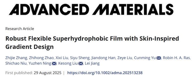 北航江雷院士团队AM：仿生梯度设计实现高性能柔性超疏水薄膜